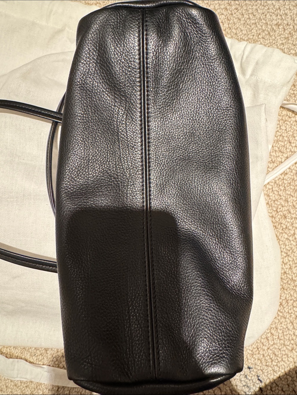 The Row Astra Bag - Picture 4 of 6